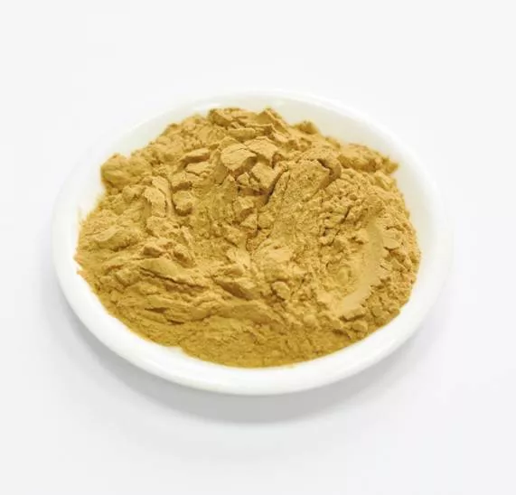 Сухой экстракт мяты (лист) (лат. Mentha haplocalyx Brip)